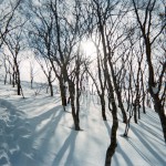 ベーシックツアー大日ヶ岳